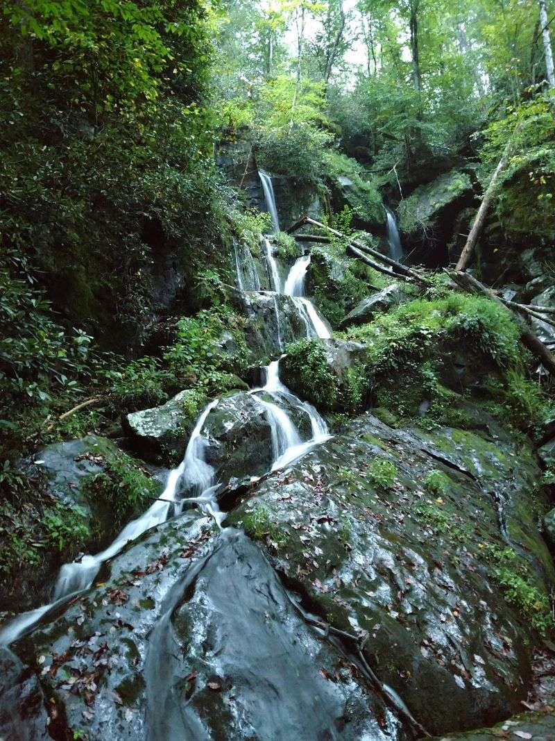 Place Of A Thousand Drips, Roaring Fork Motor Nature Trail, Gatlinburg