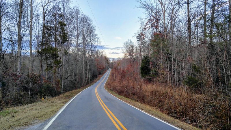 Peak Leaf Season Hits Around The End Of October