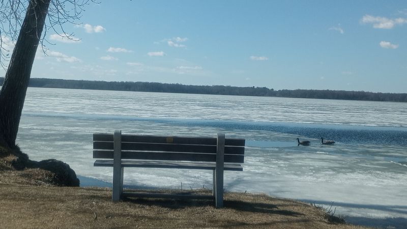 Eagles, Otters And Marsh Magic