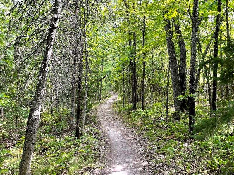 Conservation Efforts Preserving Natural Beauty