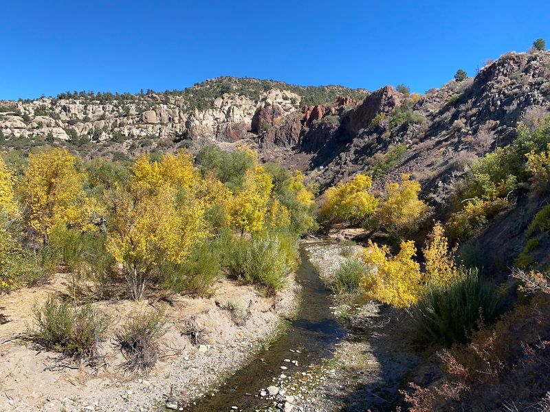 Picking The Perfect Season To Visit