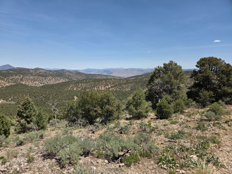 Trails That Take You Closer To The Herds