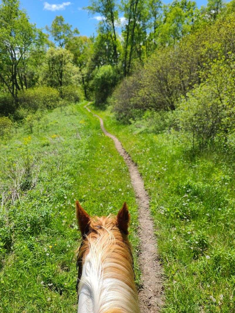 Horses, Bikes, And Fishing Rods All Have A Place Here
