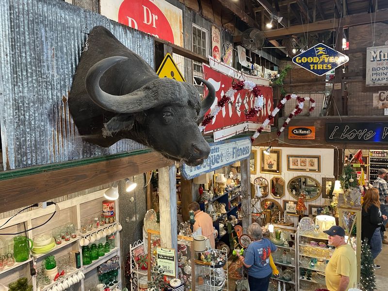 The Lucky Rabbit, Hattiesburg, MS
