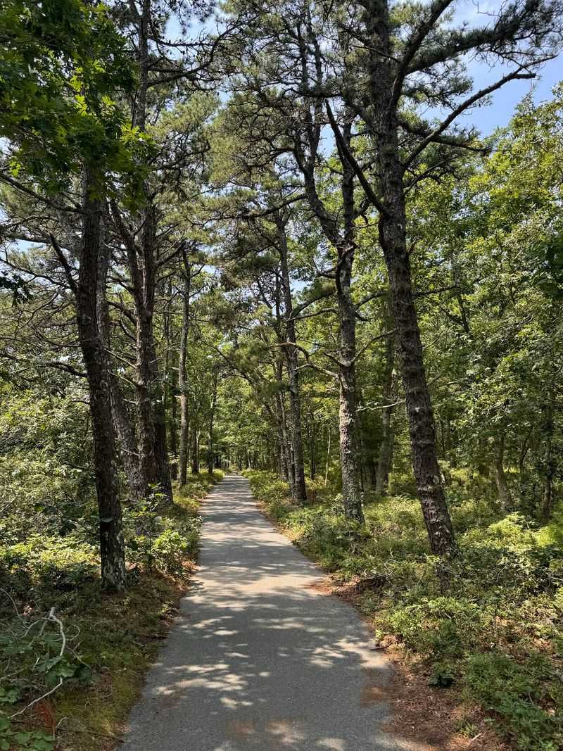 Manuel F. Correllus State Forest