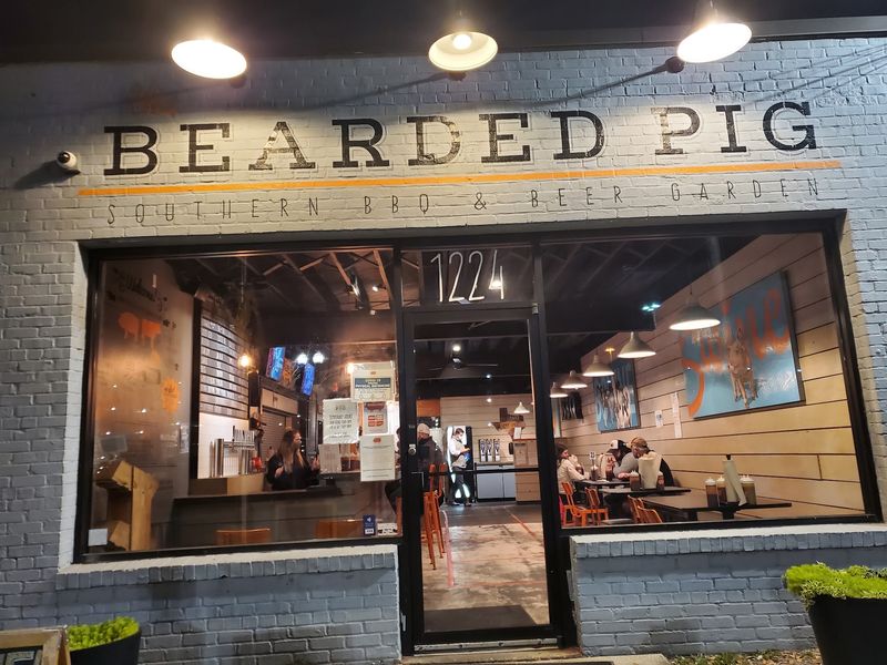 The Bearded Pig