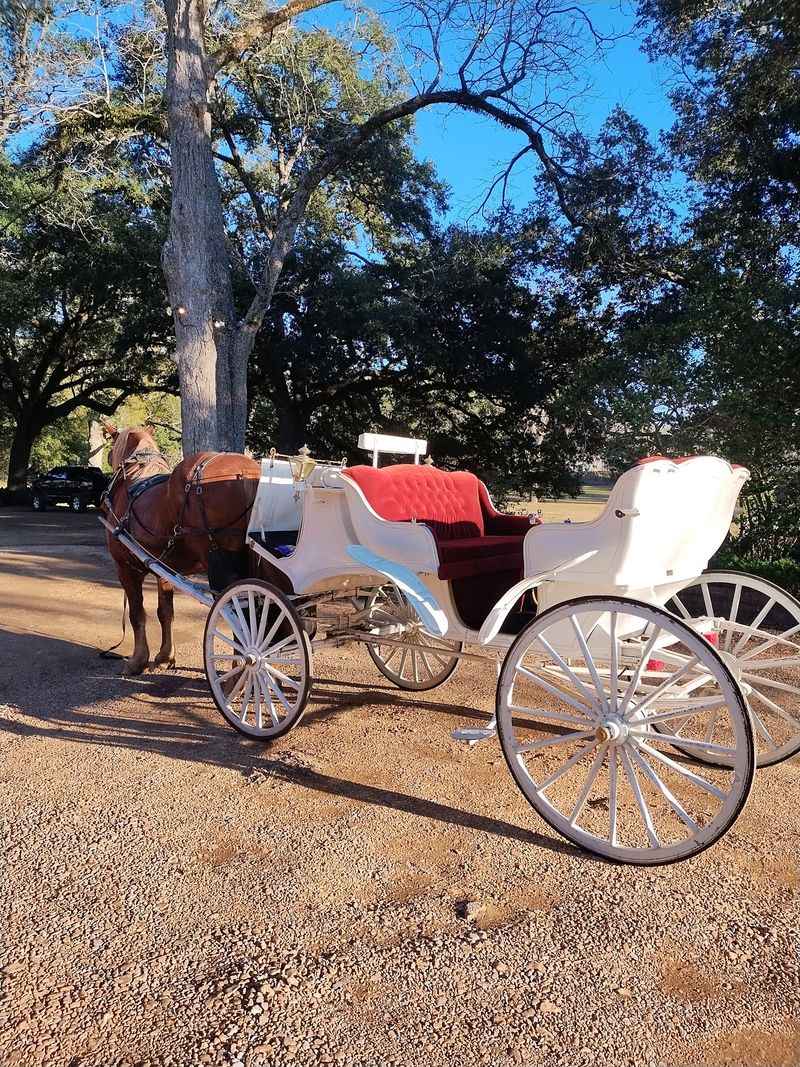 What A Family Ride Might Cost