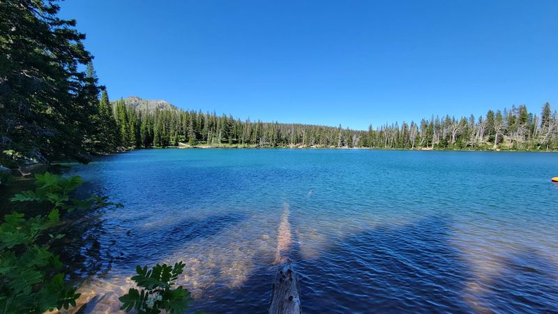 The Rope Swing And Other Shoreline Traditions