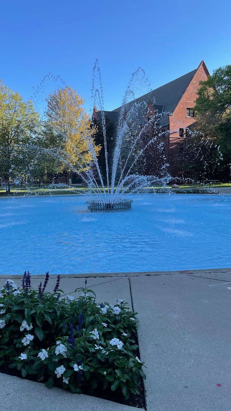 A Women's College Story That Started It All