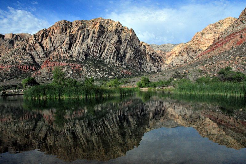 Spring Mountain Ranch State Park, Blue Diamond, NV