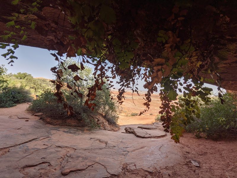 Hanging Garden Trail, Page