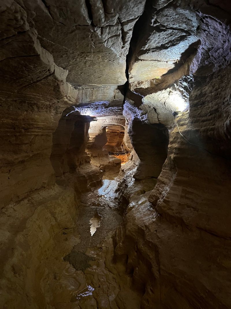 Guided Tours On The Third Sunday