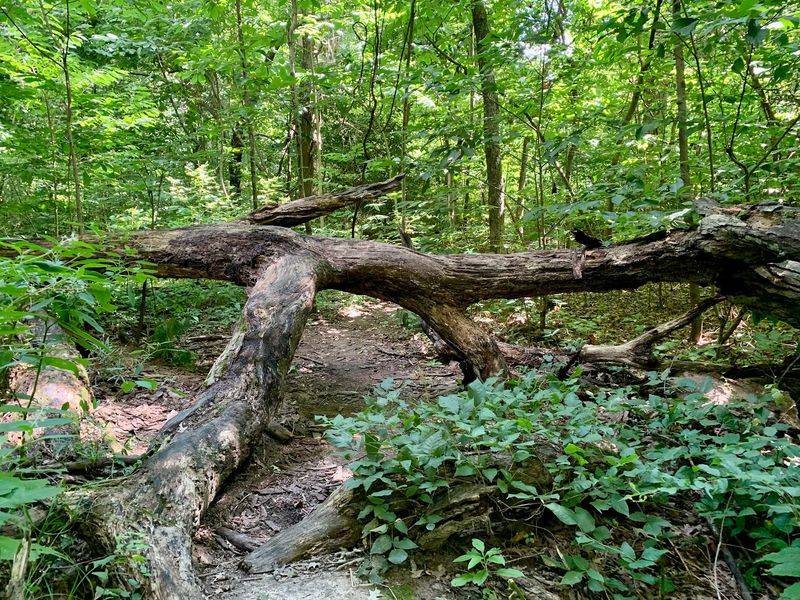 Why This Walk Earns a Spot on Your Weekend List