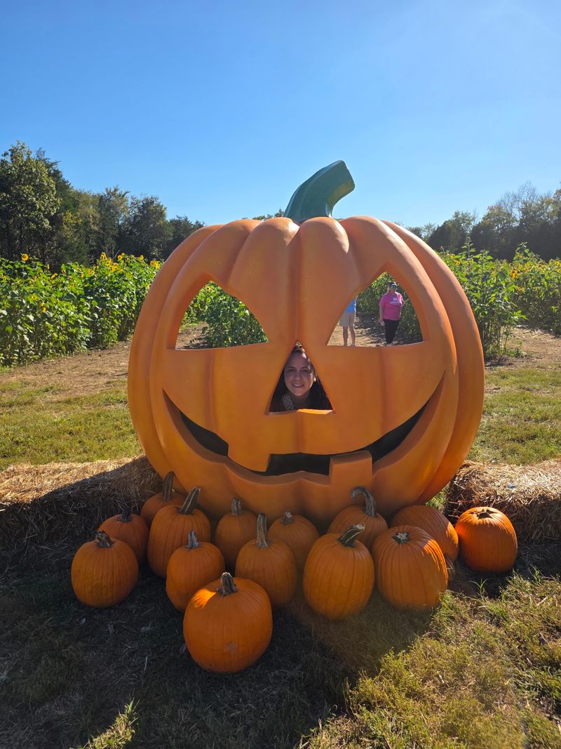 Fall Harvest Festival At Lucky Ladd Farms - Farm Park & Zoo