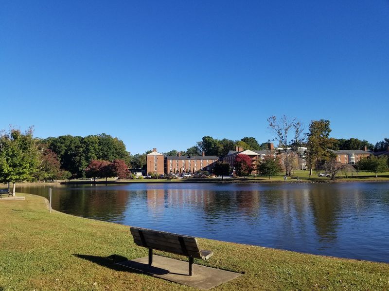 A Bronze Bunny And A Detour Through Furman University