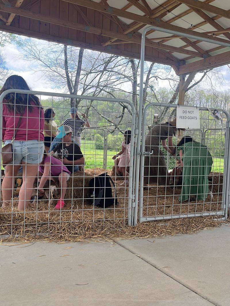 Saturday Tours, Baby Goats And Muddy Boots