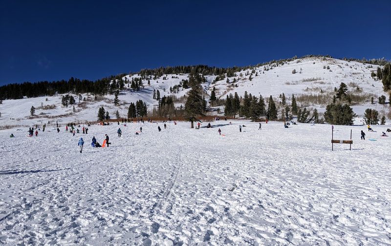 Snow Turns The Grass Into A Playground