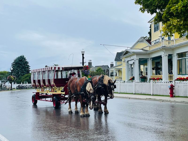 Montmorency County, Northern Lower Peninsula,