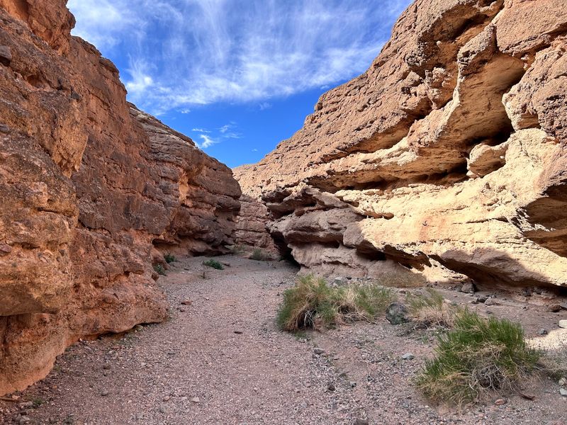 Timing Your Visit Around The Desert Heat