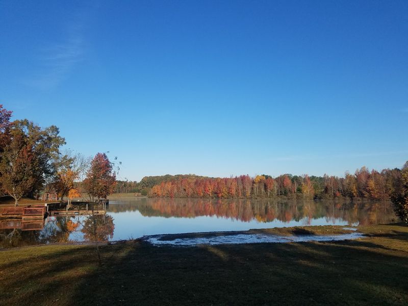Dogwood Park and Cane Creek Park for the Non-Hikers