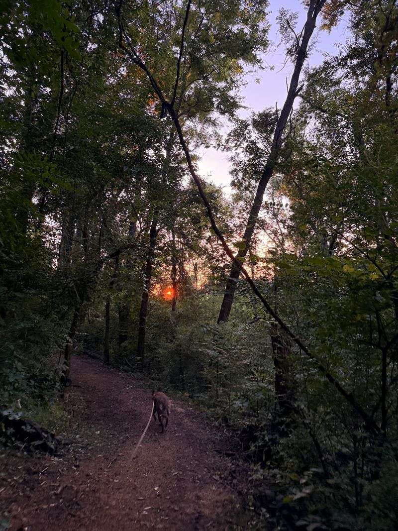 Worth The Detour Off I-65