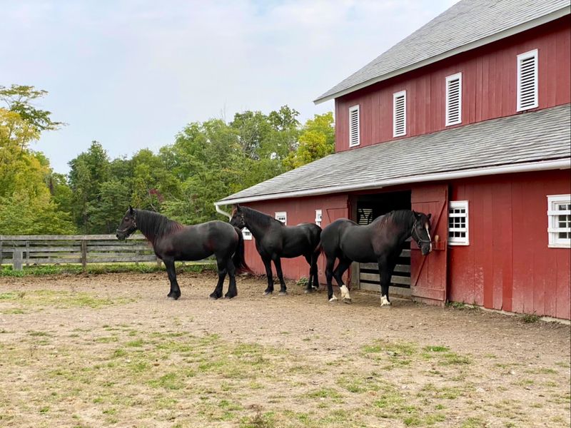 A Working 1880s Farm Off State Route 674
