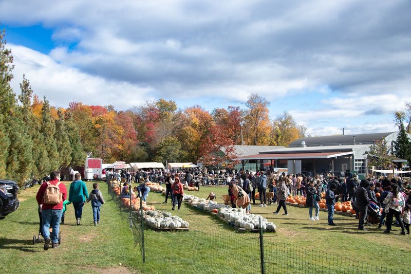 Live Music On Friday Cider Nights