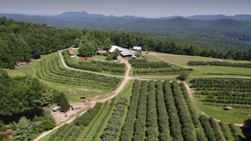 Pick Your Own Apples Across 100 Hilltop Acres