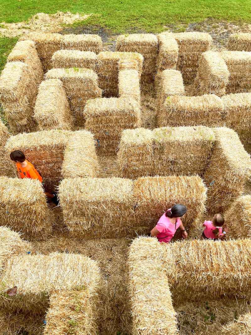 Hayrides, Slides And Pumpkin Paradise