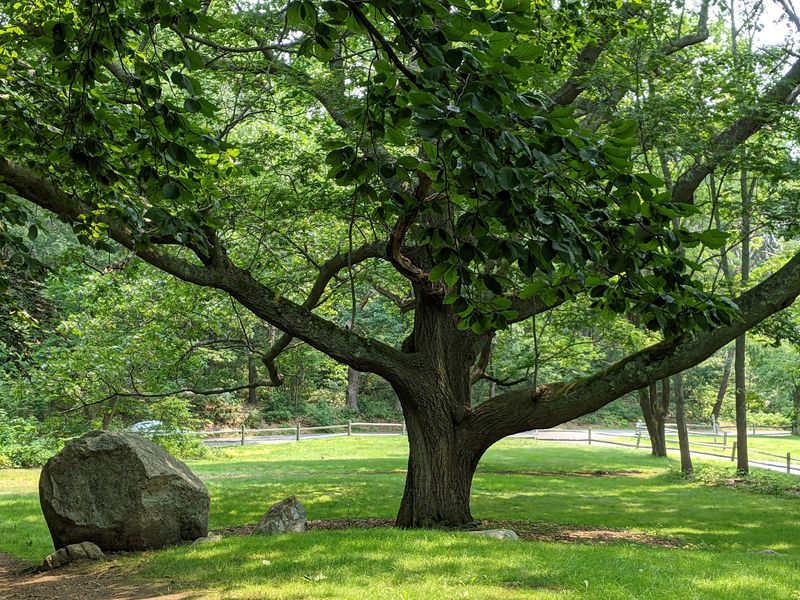 Where A Marble Palace Once Stood