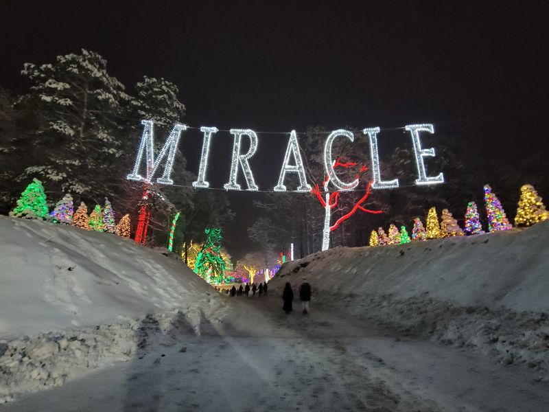 Holiday Lights That Make Winter Sparkle