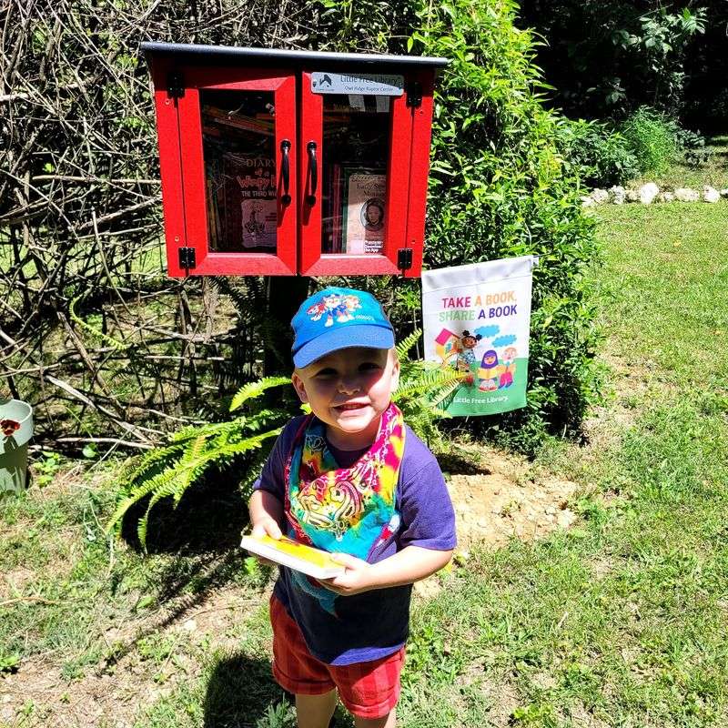 The Borrow Box Library