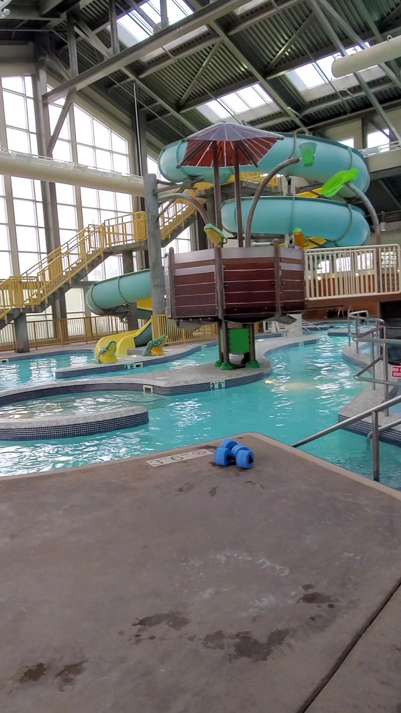 Special Events And Themed Activity Days