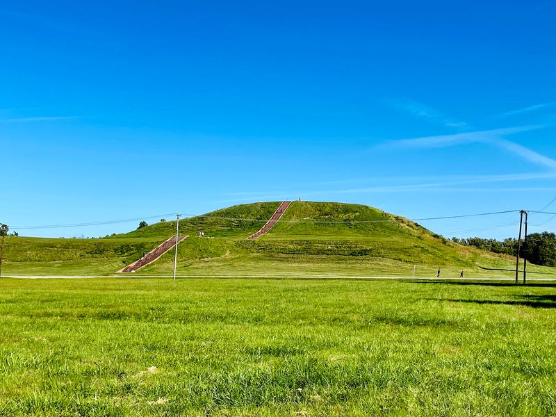 Where the Mound Rises From the Bottomlands