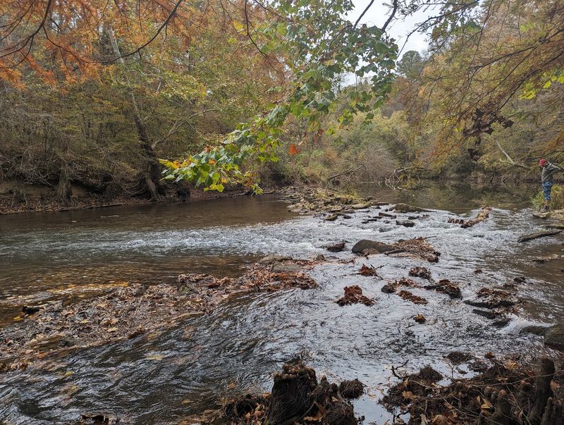 Paddling Bear Creek At A Perfect Pace