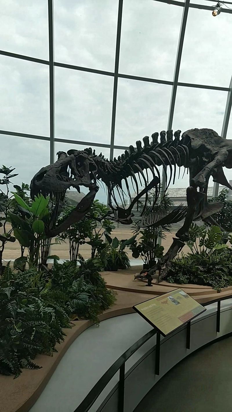 Dinosaur Fossils And The Earthquake Simulator