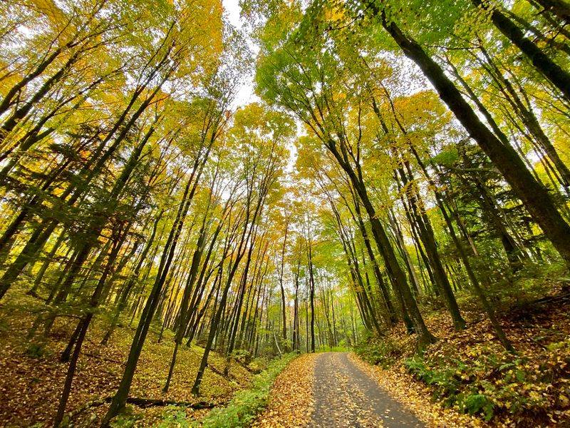 Autumn Turns The Whole Scene Into Something Unforgettable