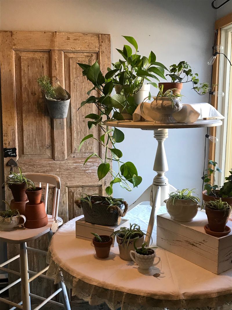 Pond Views And Lawn Games