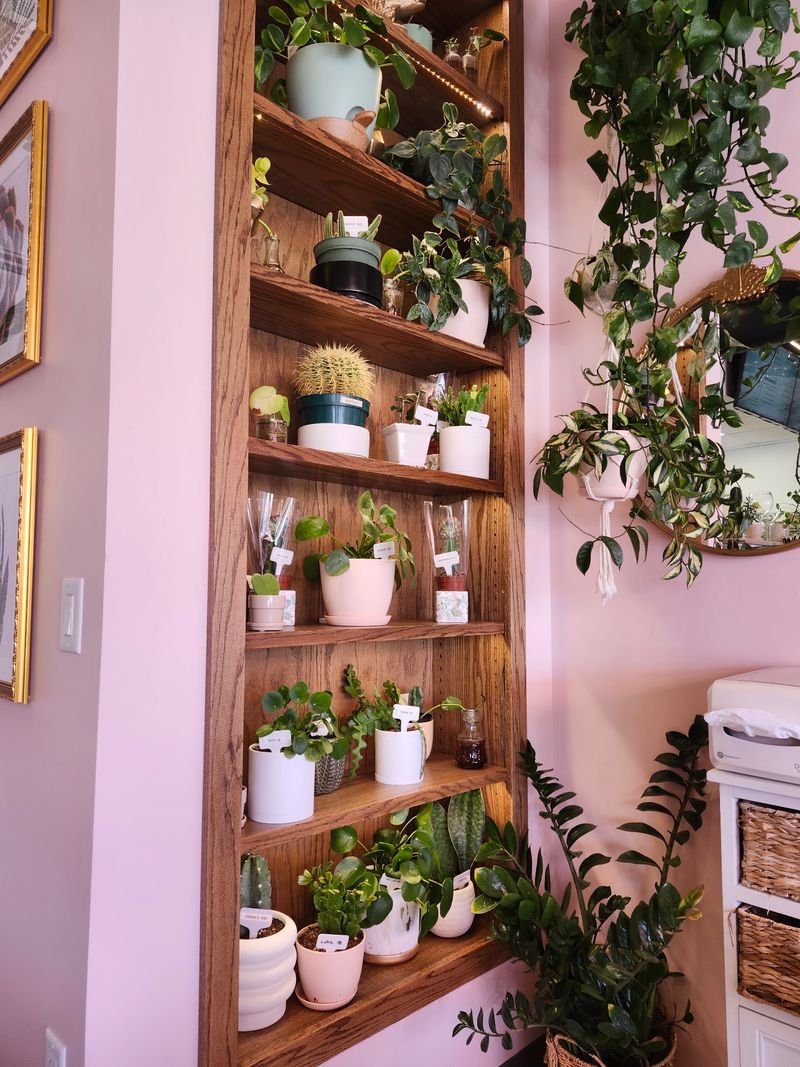 Pink, Green, And Plants Everywhere You Look