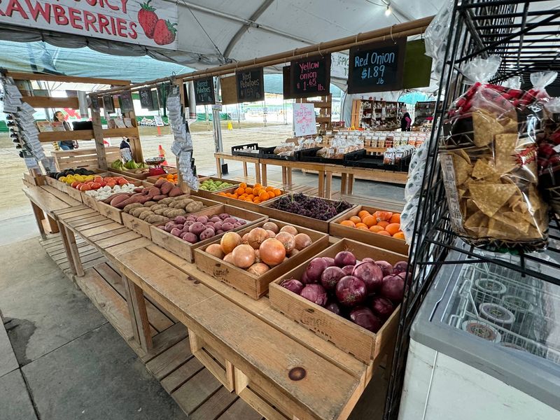 Sustainable Farming Practices Supporting Crop Production