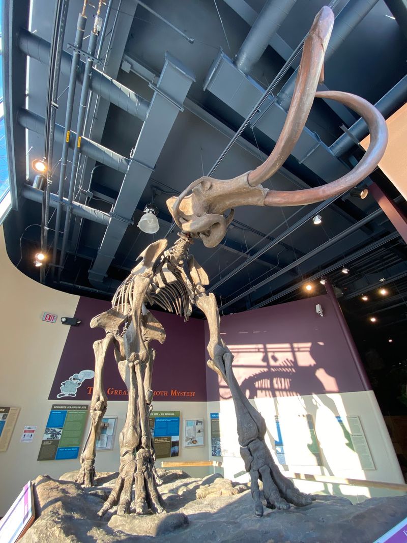 Giants Of The Ice Age Take Center Stage