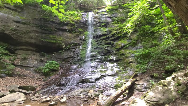 Sill Branch Falls
