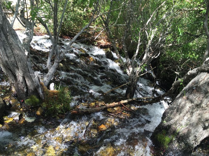 Wildlife Stirs Once The Crowds Head Home