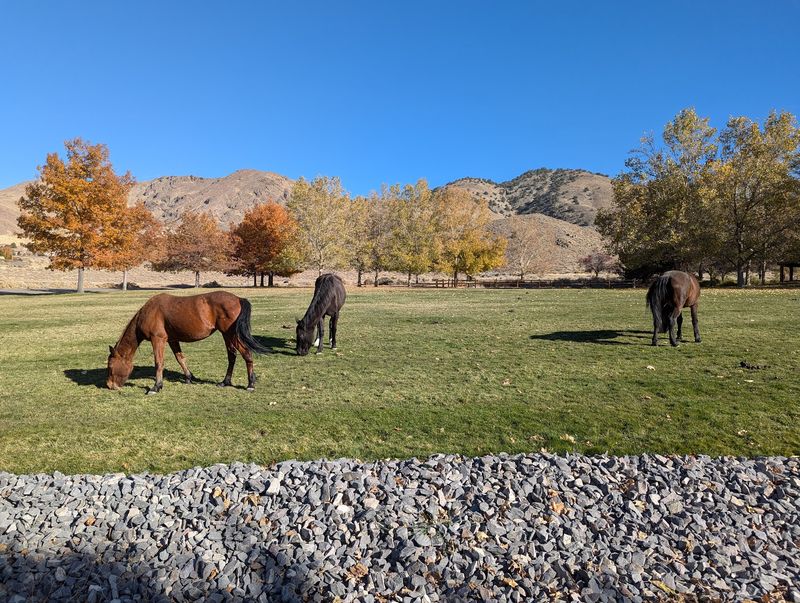 Hidden Valley Regional Park, Reno, Nevada