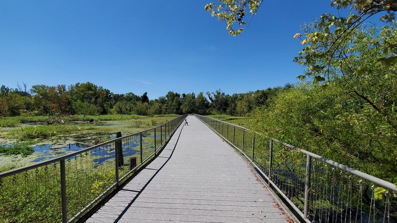 Murfree Spring Wetlands Boardwalk