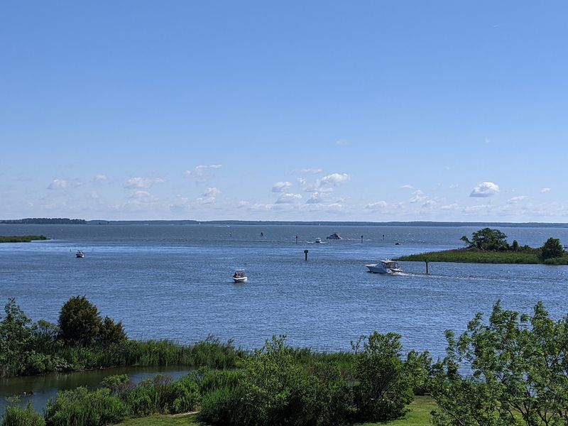 Paddle The Wetlands Instead