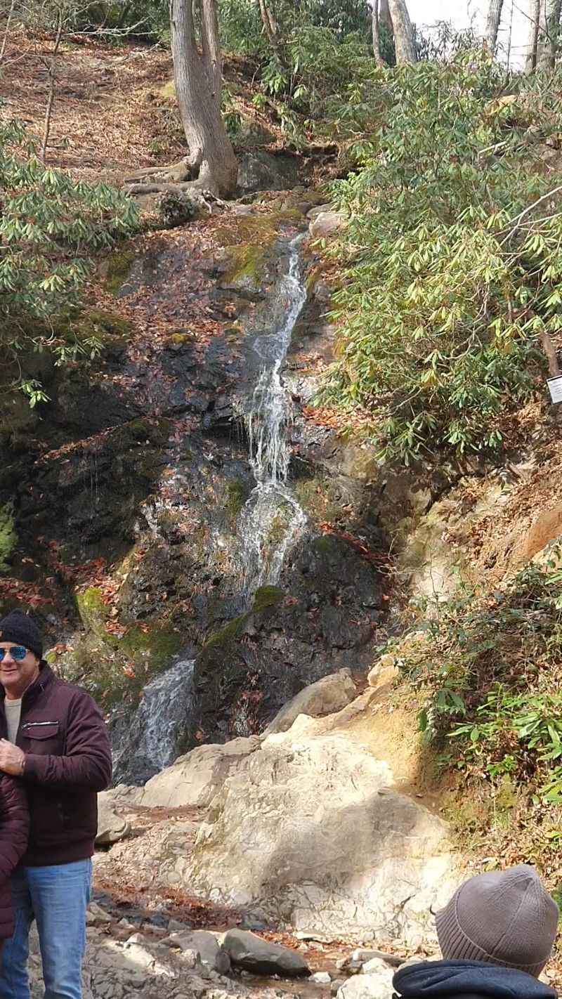 The Falls Themselves: Manage Your Expectations