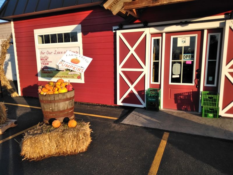 Argyle Cheese Farmer - Hudson Falls
