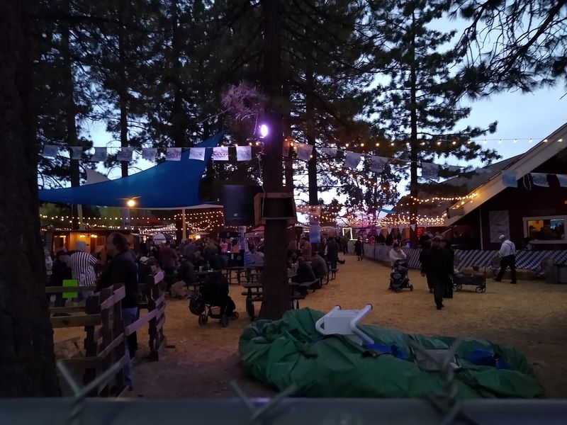 Seasonal Decorations And Festive Ambiance
