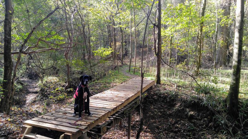 T.O. Fuller State Park
